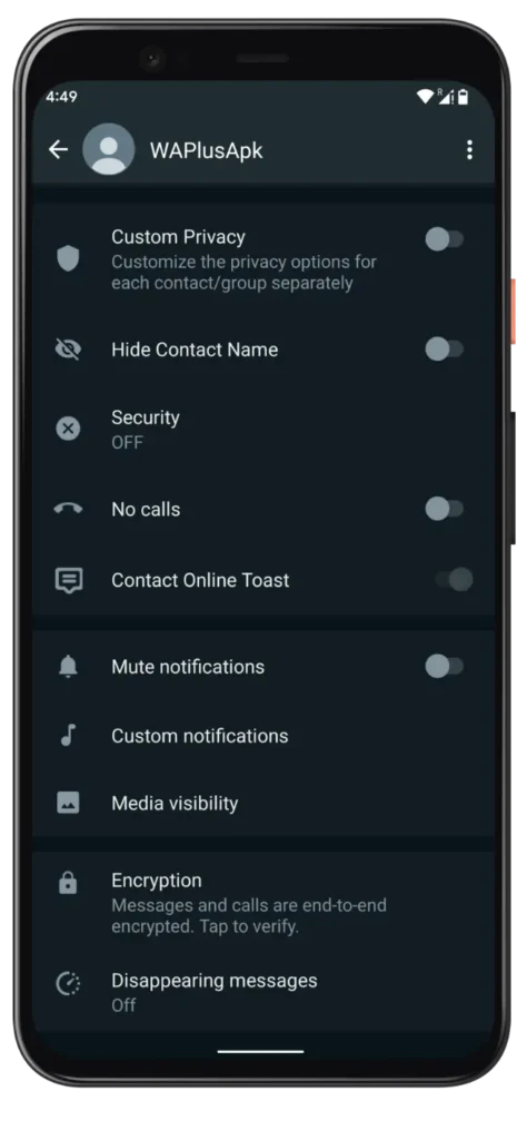 Mavi WhatsApp Plus Seçenekleri